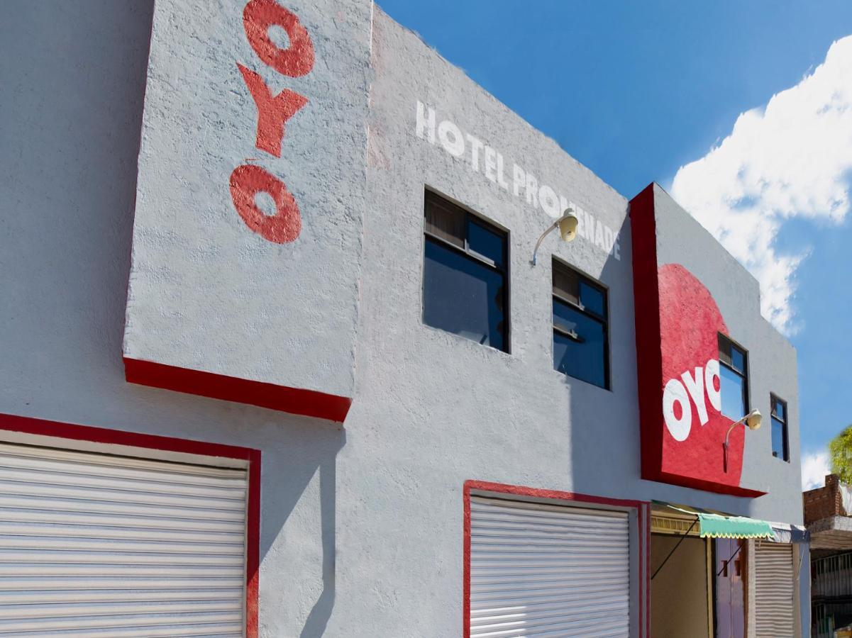 Oyo Promenade,Terminal Central De Autobuses De Guanajuato Esterno foto
